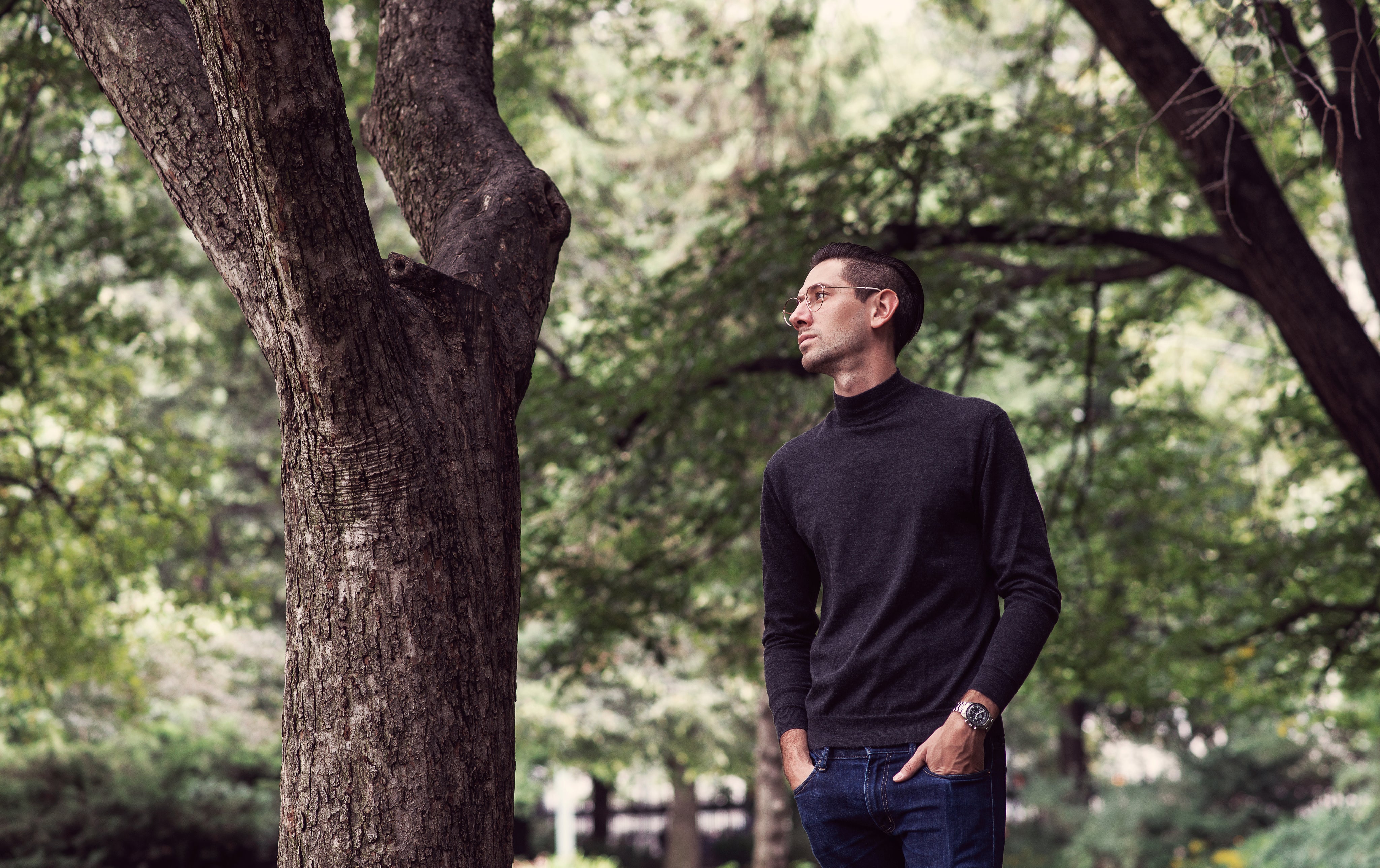 <strong>Gustavo V.</strong>